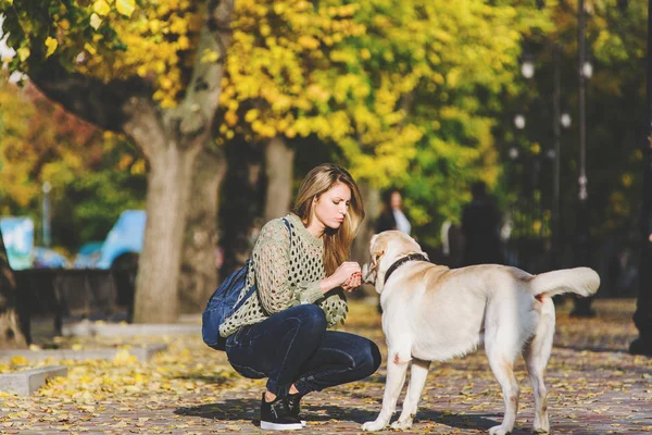 Vacker Ung Blond Promenader Parken Med Sin Labrador Parken Höst — Stockfoto