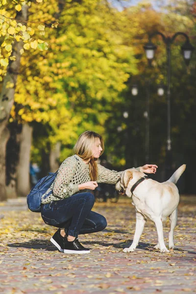 Die Schöne Junge Blondine Geht Herbst Mit Ihrem Labrador Park — Stockfoto