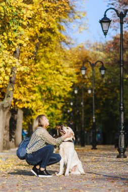 Güzel genç sarışın parkta sonbaharda onun labrador Park ile yürüyor. Kadın onu geri almak çömelmiş.