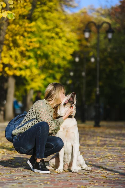 Vacker Ung Blond Promenader Parken Med Sin Labrador Parken Höst — Stockfoto