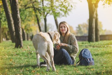 güzel sarışın parkta çim üzerinde oturan ve onu köpek labrador ile oynamak