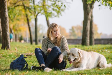 güzel sarışın parkta çim üzerinde oturan ve onu köpek labrador ile oynamak