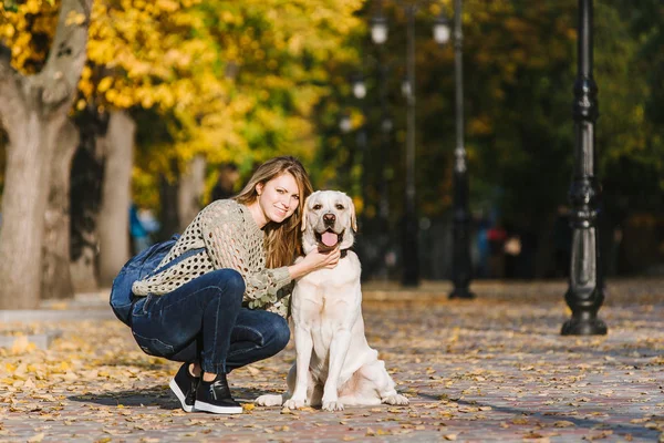 Die Schöne Junge Blondine Geht Herbst Mit Ihrem Labrador Park — Stockfoto