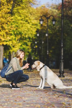 Güzel genç sarışın parkta sonbaharda onun labrador Park ile yürüyor. Kadın onu geri almak çömelmiş.