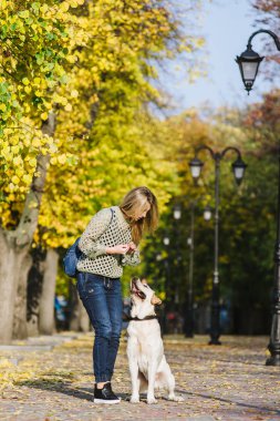 Güzel genç sarışın parkta sonbaharda onun labrador Park ile yürüyor. Kadın onu geri almak çömelmiş.