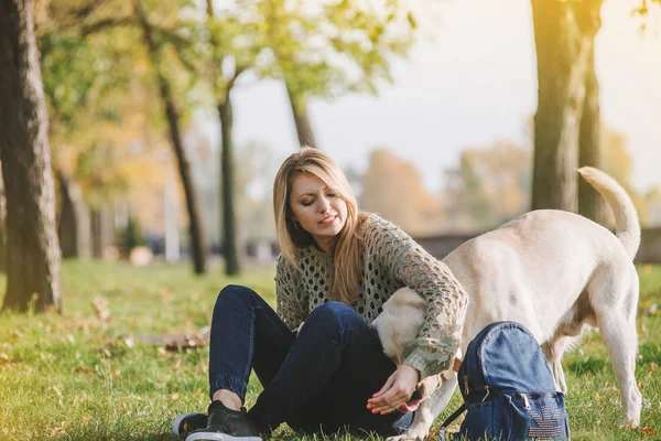 Vacker Blondin Sitter Gräset Parken Och Leka Med Hennes Hund — Stockfoto