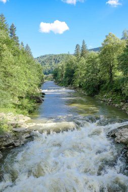Manzara. Ormanın içinden akan nehir fırtınalı dağ.