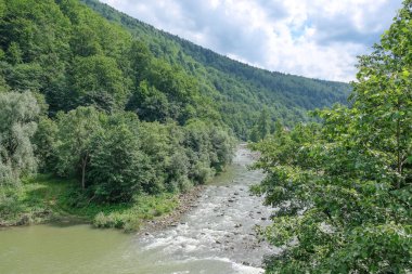 Manzara. Ormanın içinden akan nehir fırtınalı dağ.
