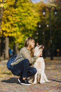 Güzel genç sarışın parkta sonbaharda onun labrador Park ile yürüyor. Kadın onu geri almak çömelmiş.