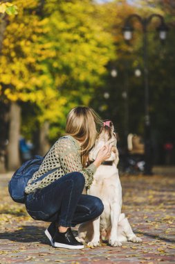 Güzel genç sarışın parkta sonbaharda onun labrador Park ile yürüyor. Kadın onu geri almak çömelmiş.