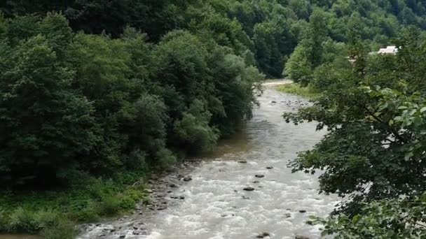 Ρέει Ποταμός Του Βουνού Στα Καρπάθια Όρη — Αρχείο Βίντεο