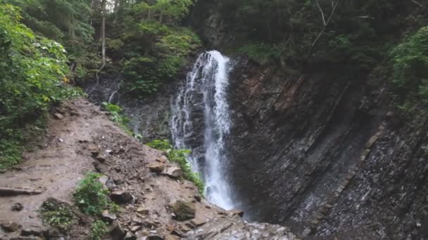 Wodospad Opływa Gór Lasu — Wideo stockowe