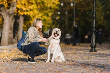 Güzel genç sarışın parkta sonbaharda onun labrador Park ile yürüyor. Kadın onu geri almak çömelmiş.