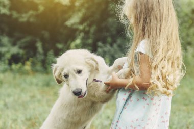 Küçük şirin sarışın kız onu köpek yavrusu golden retriever ile yaz aylarında parkta oynarken..