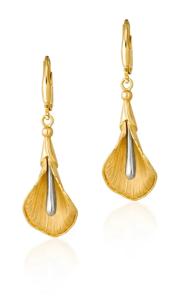 Fashion Women Earrings Gold Women Jewelery Gift — Stock Photo, Image