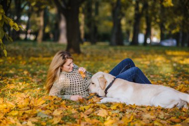 Güzel bir sarışın sarı yapraklar bir parkta yatıyor ve onun labrador ile çalış.