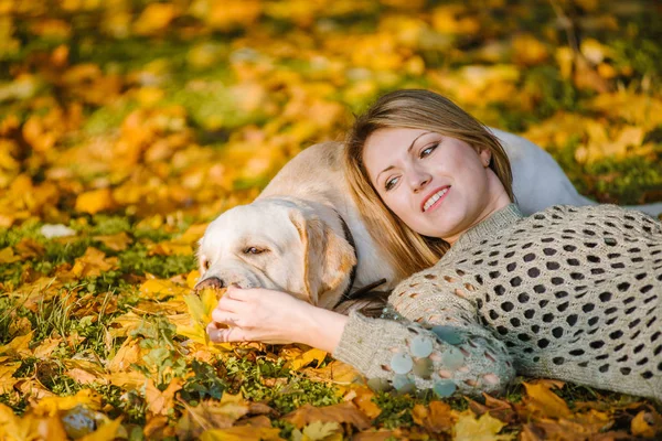 En vacker blondin ligger i gula blad i en park och leker med hennes labrador. — Stockfoto