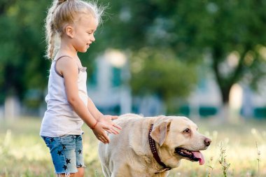 Küçük kız yaz parkında Labrador 'la oynuyor..