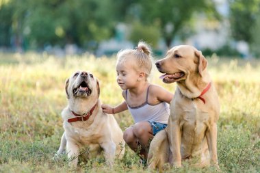 Yaz Park iki Labrador'un ile oynarken küçük sarışın kız.