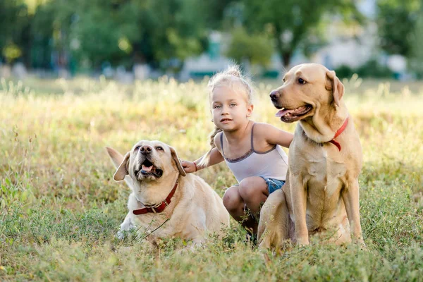 Petite Fille Blonde Jouant Avec Deux Labradors Dans Parc Été — Photo