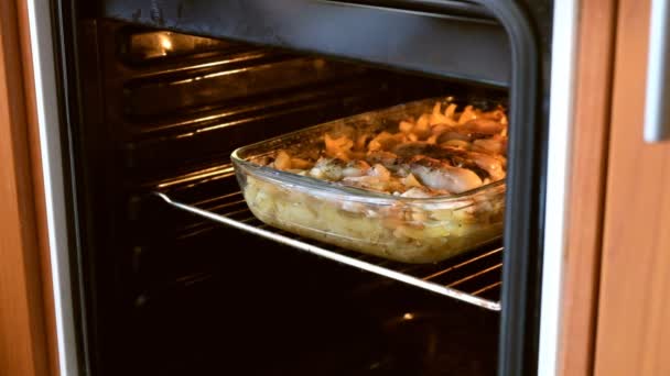 De vrouw neemt de gekookte schotel uit de oven — Stockvideo