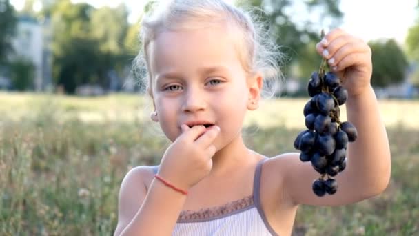 Little blond girl sitting in the park on grass and eating grapes — Stock Video