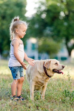 Küçük kız yaz parkında Labrador 'la oynuyor..