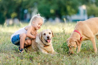 Küçük kız yaz parkında Labrador 'la oynuyor..
