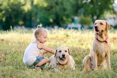 Yaz Park iki Labrador'un ile oynarken küçük sarışın kız.