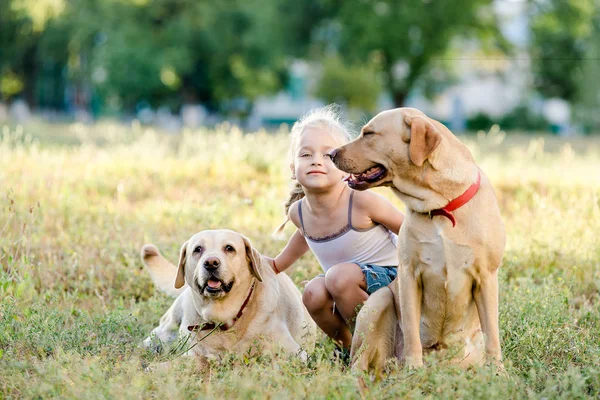 Petite Fille Blonde Jouant Avec Deux Labradors Dans Parc Été — Photo