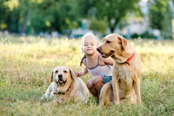 Petite Fille Blonde Jouant Avec Deux Labradors Dans Parc Été — Photo