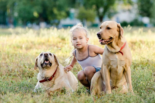 Petite Fille Blonde Jouant Avec Deux Labradors Dans Parc Été — Photo