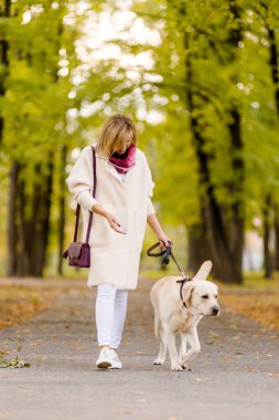 Bir kadın onun labrador ile sonbaharda yürür..