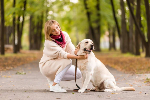 Vacker ung kvinna promenader med sin retriever i parken i höst. — Stockfoto