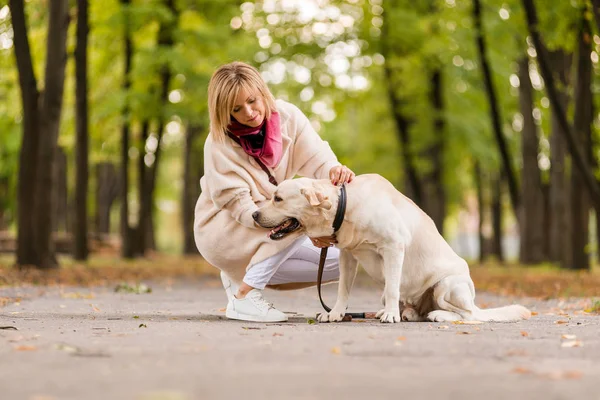 Vacker ung kvinna promenader med sin retriever i parken i höst. — Stockfoto