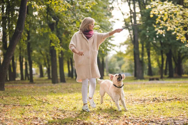 .Une jeune femme joue avec son chien Labrador dans le parc à l'automne. Jette un bâton au chien . — Photo