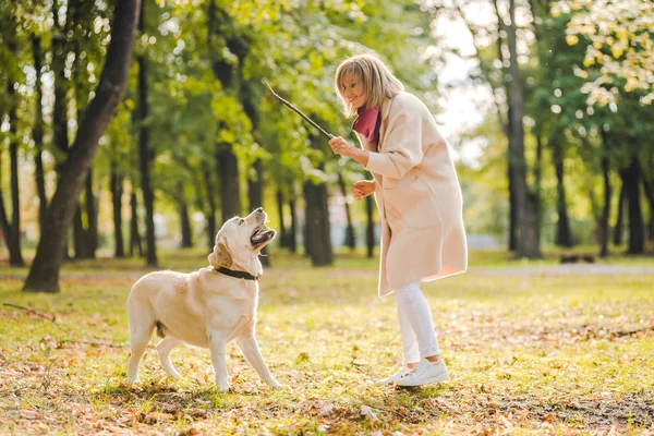 .En ung kvinna leker med sin hund Labrador i parken i höst. Kastar en pinne till hunden. — Stockfoto