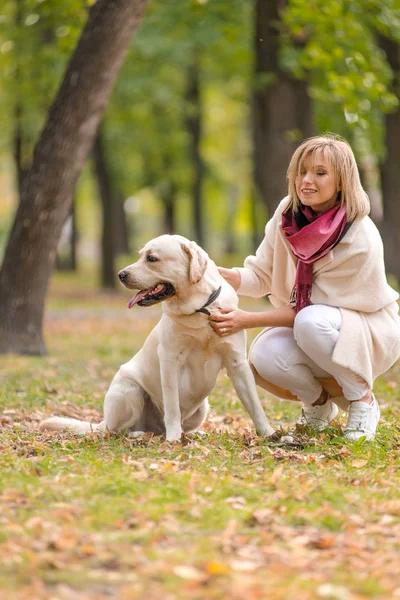 Vacker ung kvinna promenader med sin retriever i parken i höst. — Stockfoto