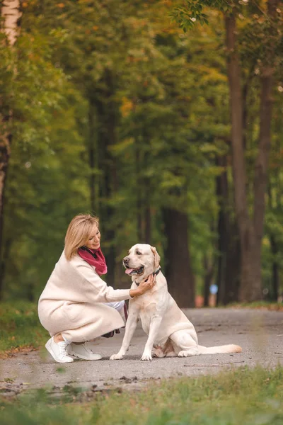 Vacker ung kvinna promenader med sin retriever i parken i höst. — Stockfoto