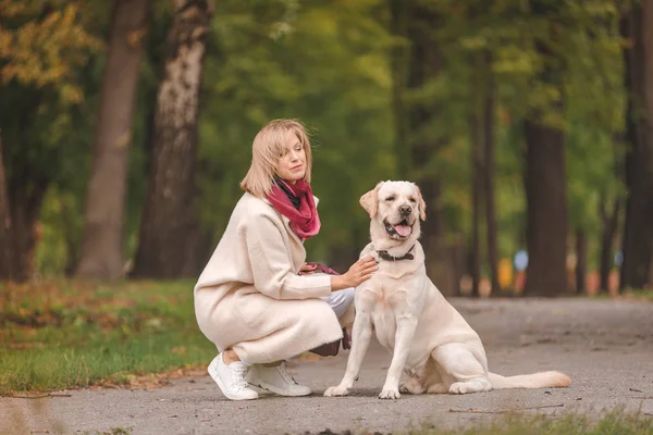 Vacker ung kvinna promenader med sin retriever i parken i höst. — Stockfoto