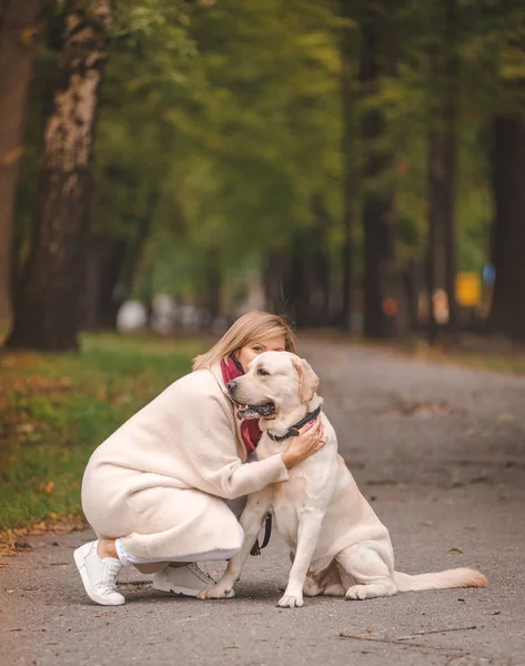 Vacker ung kvinna promenader med sin retriever i parken i höst. — Stockfoto