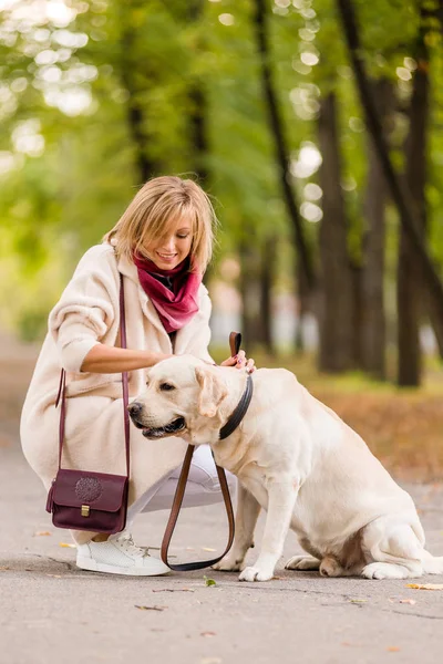 Mulher Bonita Caminha Com Seu Retriever Parque Outono Sentem Juntos — Fotografia de Stock