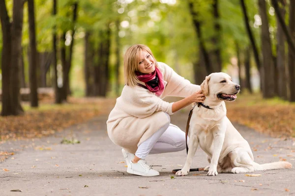 Vacker Ung Kvinna Promenader Med Sin Retriever Parken Höst Sitta — Stockfoto