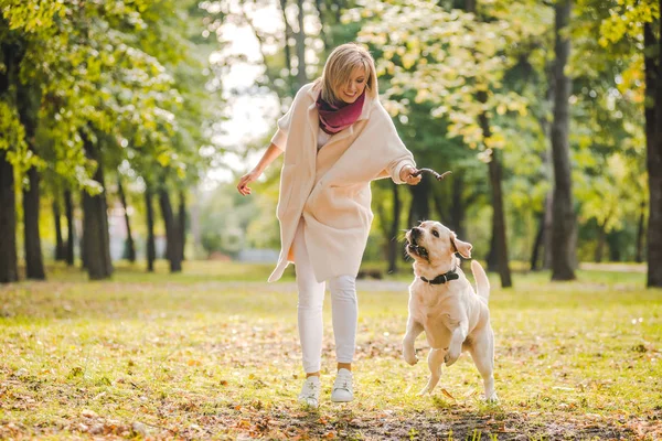 Ung Kvinna Leker Med Sin Hund Labrador Parken Höst Kastar — Stockfoto