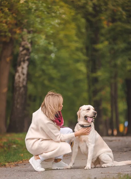 Vacker Ung Kvinna Promenader Med Sin Retriever Parken Höst Sitta — Stockfoto