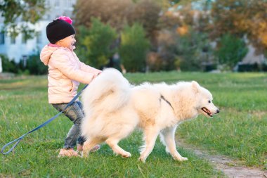 küçük kız köpeğini Samoyed Park ile sonbaharda yürür
