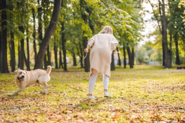 Genç bir kadın ile onun köpek Labrador parkta sonbaharda çalış. Bir sopa için köpek atar.