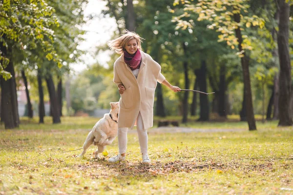 Ung Kvinna Leker Med Sin Hund Labrador Parken Höst Kastar — Stockfoto