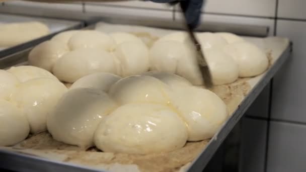 Konditor schmiert die Brötchen vor dem Backen mit geschlagenen Hühnereiern. — Stockvideo