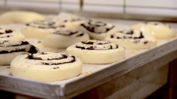 Konditor schmiert die Brötchen vor dem Backen mit geschlagenen Hühnereiern. — Stockvideo